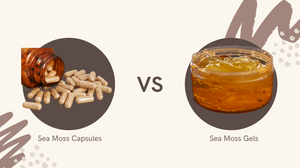 Sea-Moss-Capsules-vs.-Sea-Moss-Gels-Why-Soulmoss-Capsules-Are-the-Superior-Choice Soulmoss