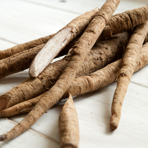 Burdock Root